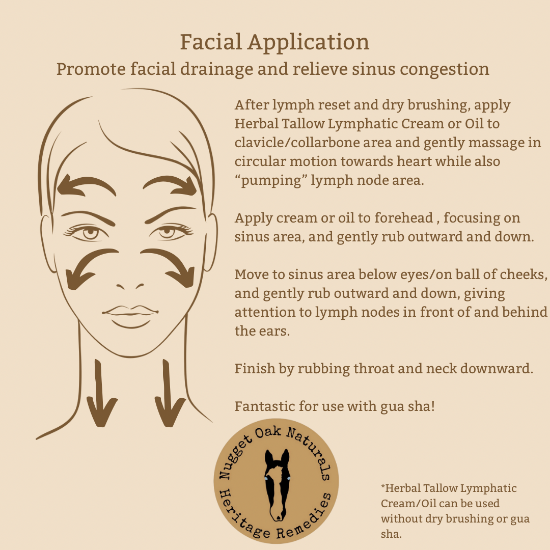 Herbal Tallow Lymphatic Cream