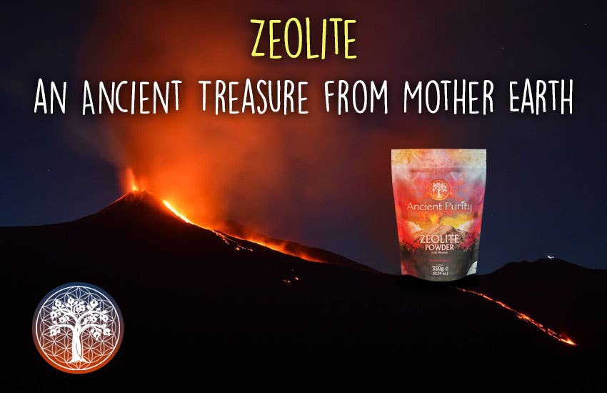 Zeolite Powder - 350g (< 25 Microns) HM Detox Cleanse