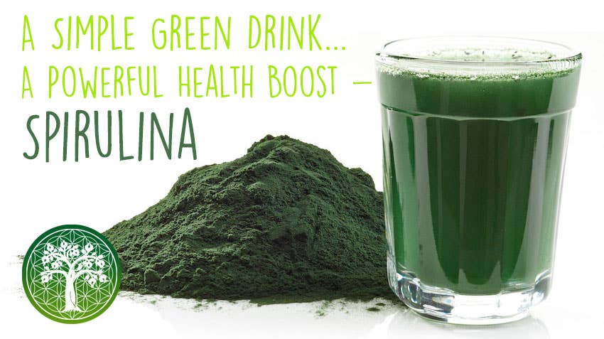 Spirulina & Chlorella Powder - 300g | Clean Japan Origin