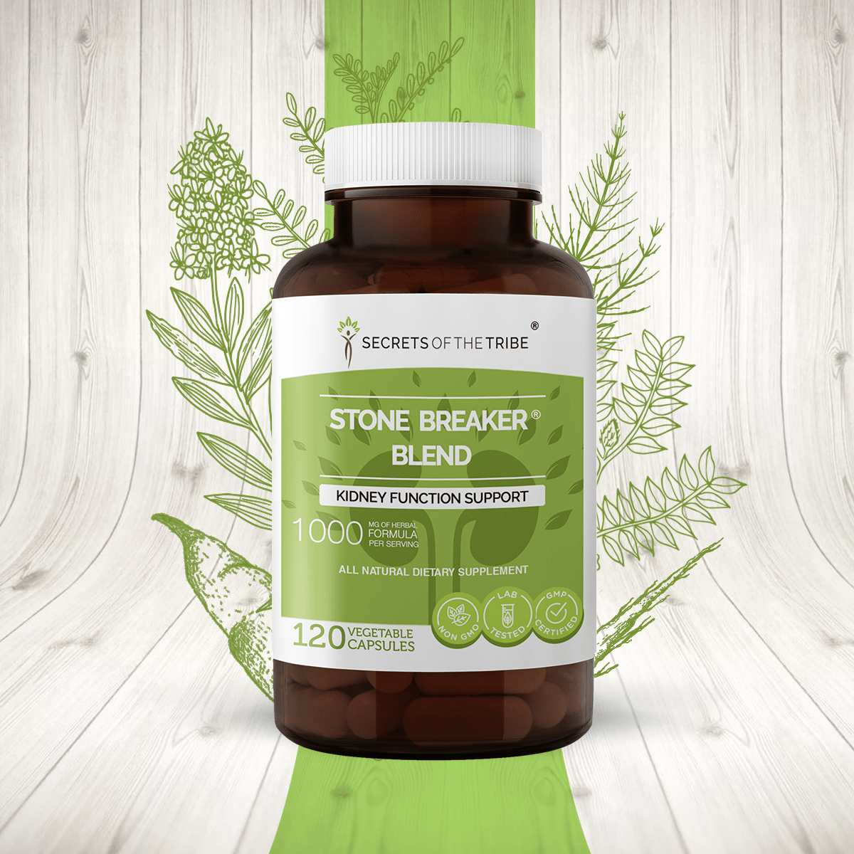 Stone Breaker Blend Capsules. Kidney Function Support