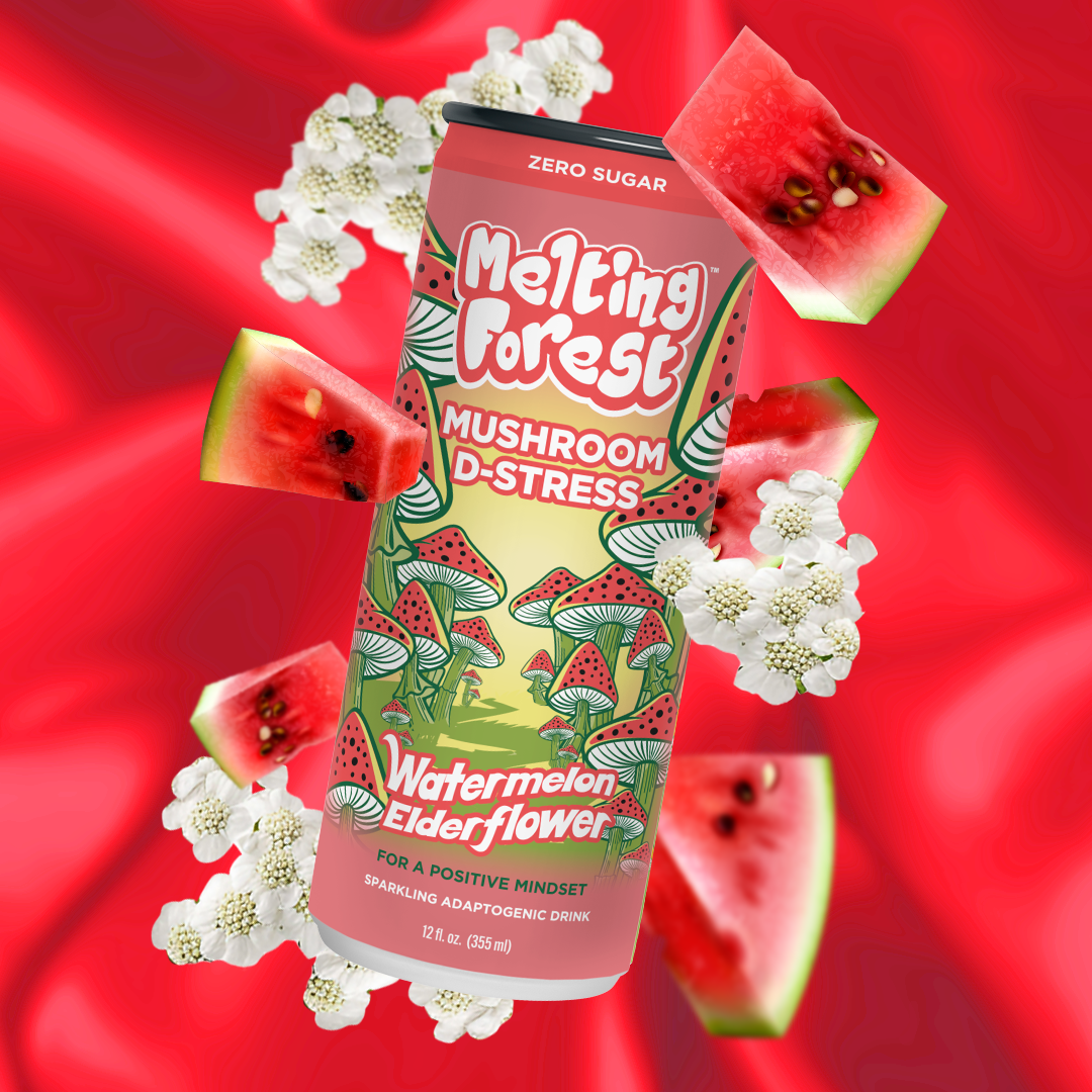 Mushroom Drink | Stress Relief | Variety Pack