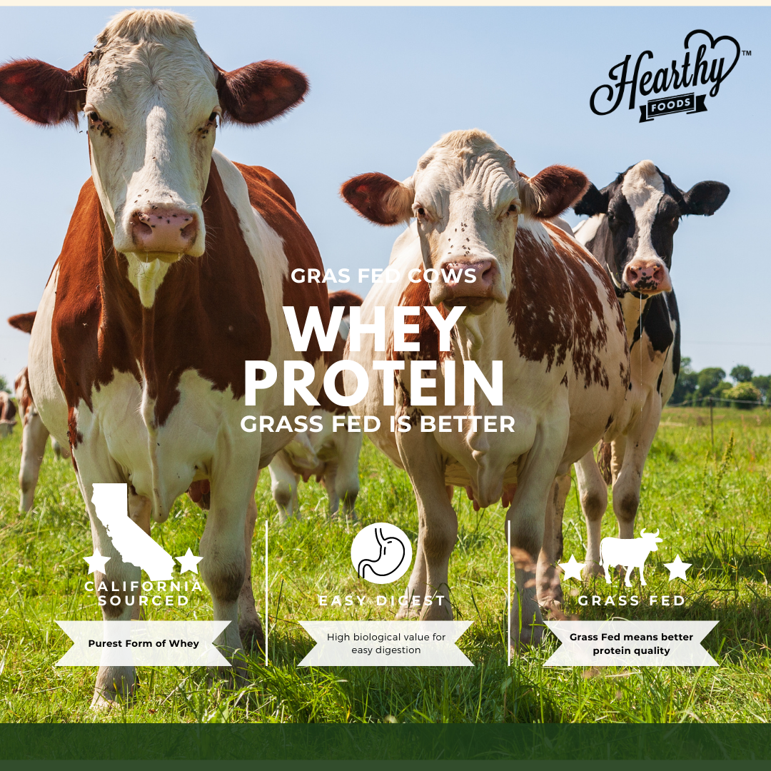 Whey Protein Powder Isolate Unsweetened No Carbs and No Fat
