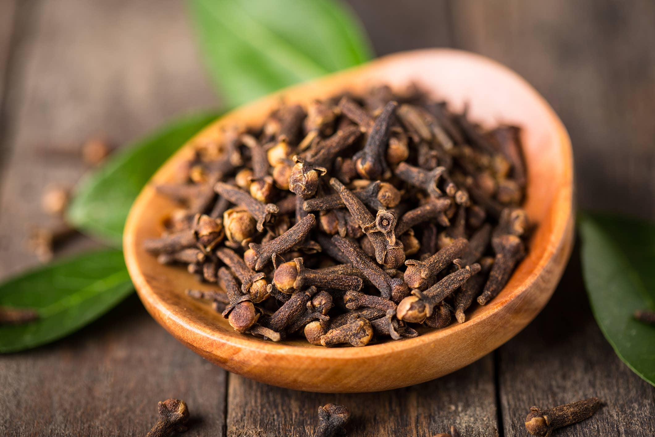 Clove Bud Essential Oil