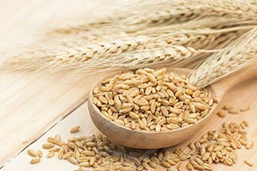Organic Hulled Barley – Non-GMO, 100% Whole Grain, Kosher