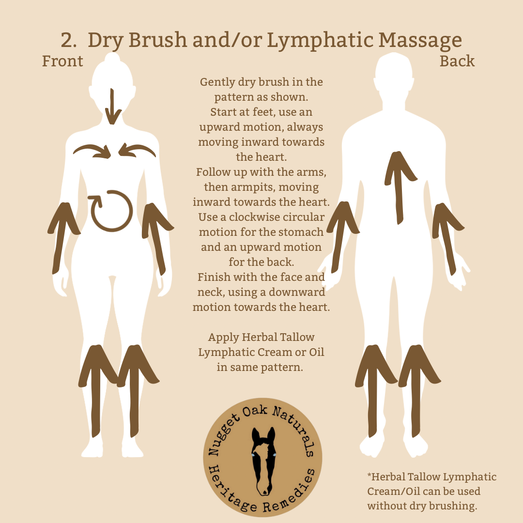 Herbal Tallow Lymphatic Cream