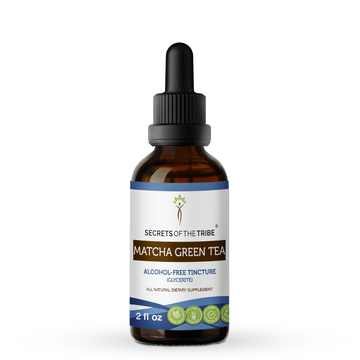 Matcha Green Tea Tincture