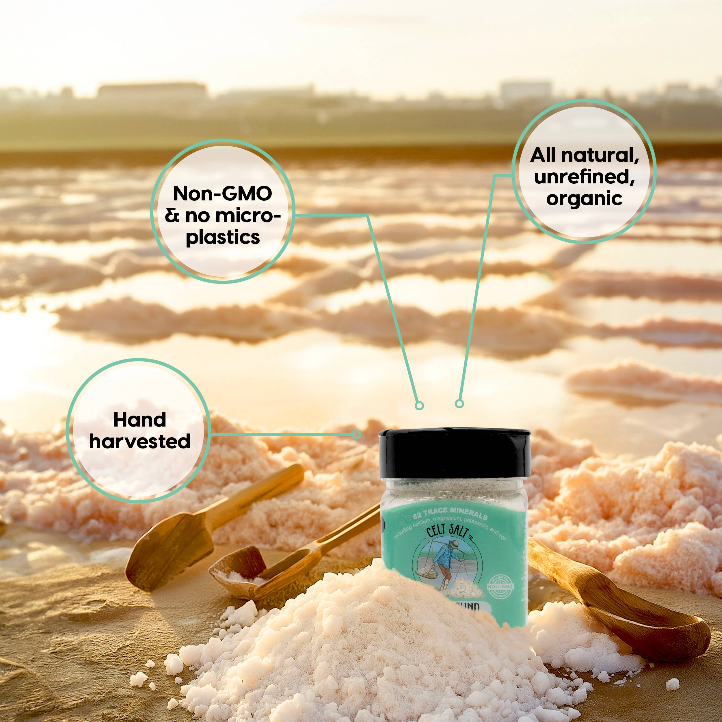 Celtic Sea Salt, 8 oz Shaker of Fine Ground Celt Salt- (1/2 lb)