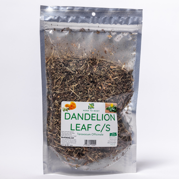 Dandelion Leaf C/S