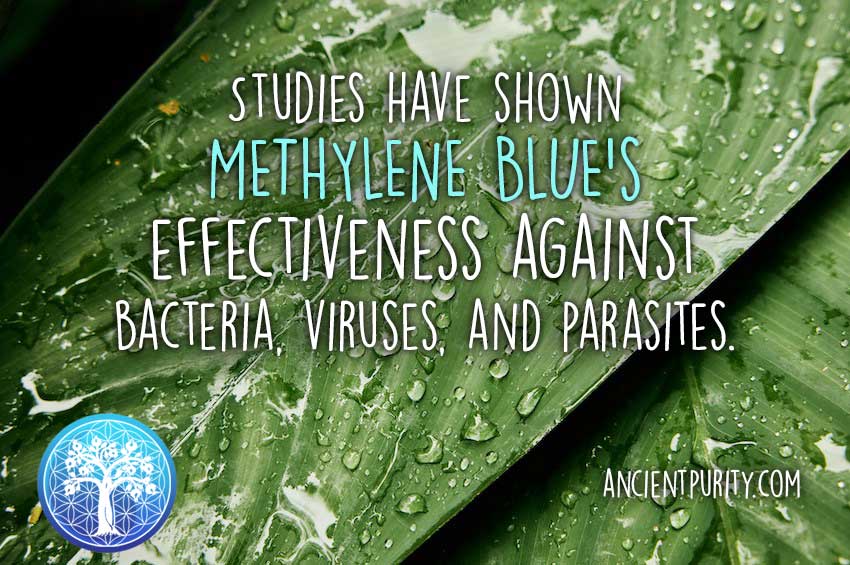 Methylene Blue - 100ml | 1% Solution | 99.99% Pure USP Grade