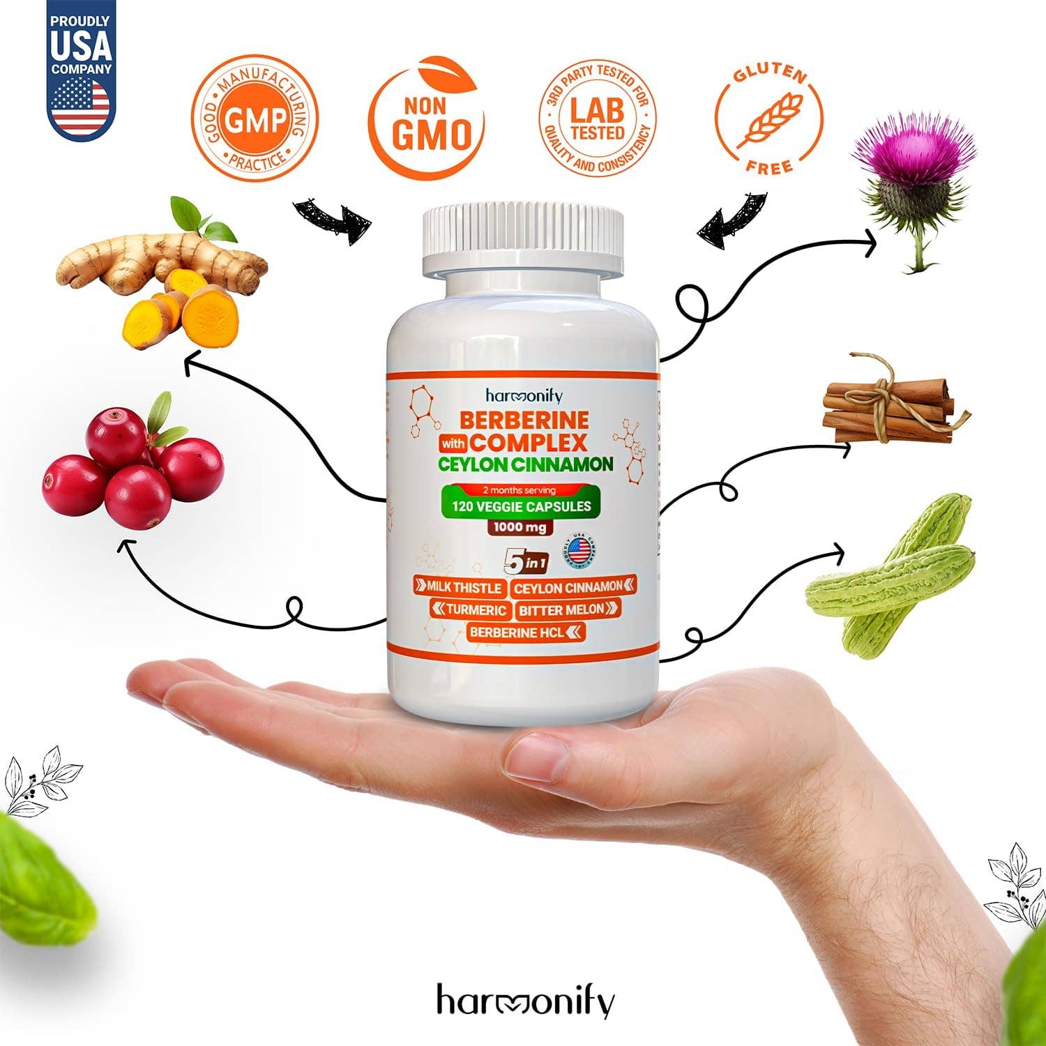 HARMONIFY Berberine with Ceylon Cinnamon, Pure Turmeric, Milk Thistle Bitter Melon, 5 in 1 Formula, 120 Purified Veggie Capsule 1000 mg | Gluten Free, Non-GMO