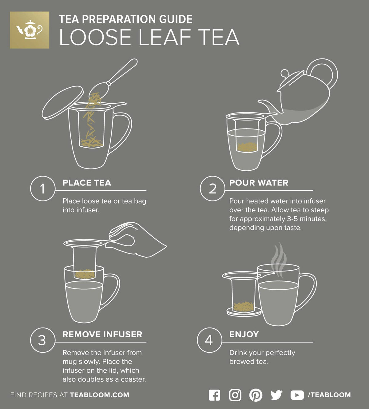 Teabloom Venice Insulated Glass Mug w/ Infuser & Lid/Coaster