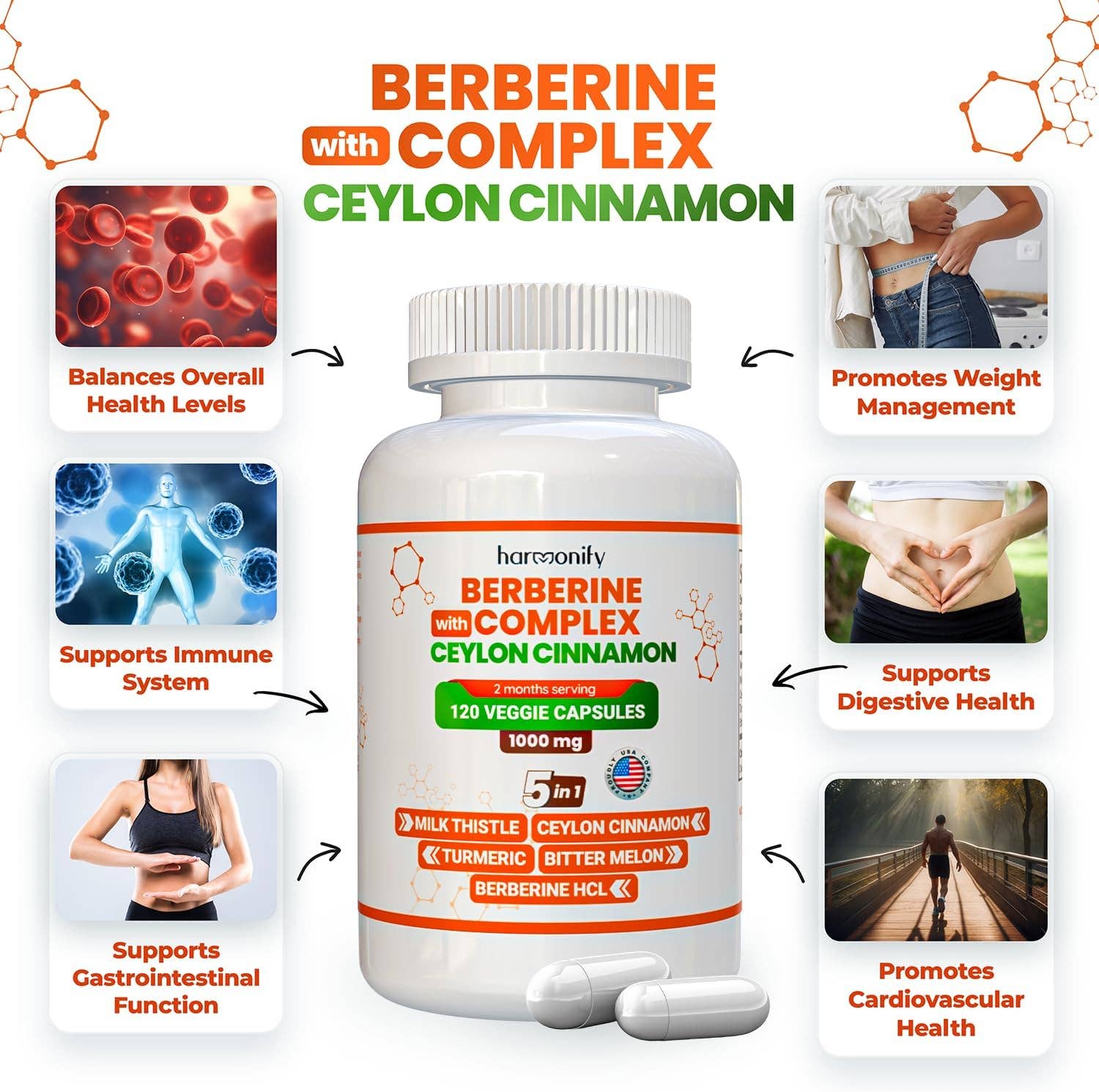 HARMONIFY Berberine with Ceylon Cinnamon, Pure Turmeric, Milk Thistle Bitter Melon, 5 in 1 Formula, 120 Purified Veggie Capsule 1000 mg | Gluten Free, Non-GMO
