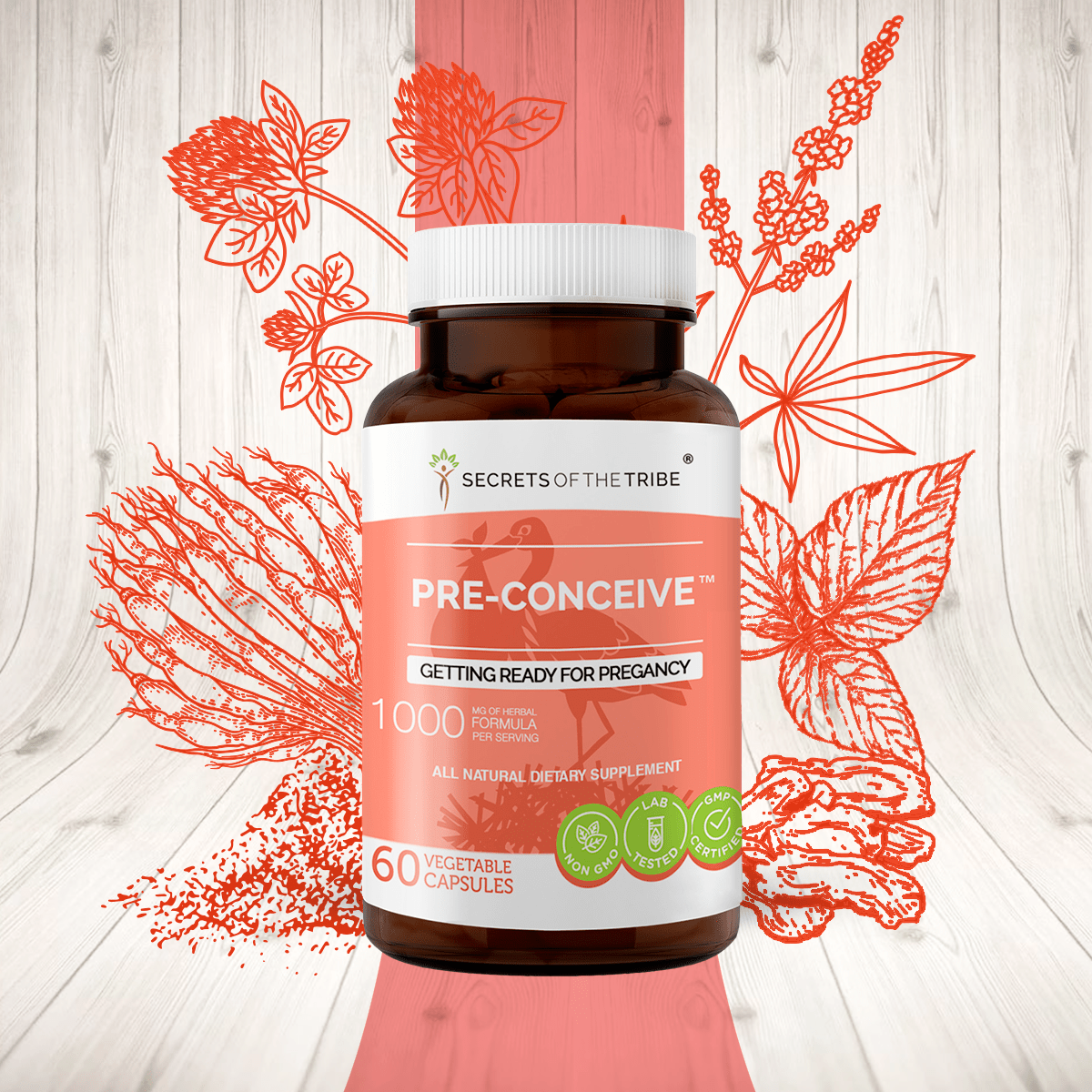 Pre-Conceive Capsules. Getting ready for Pregnancy