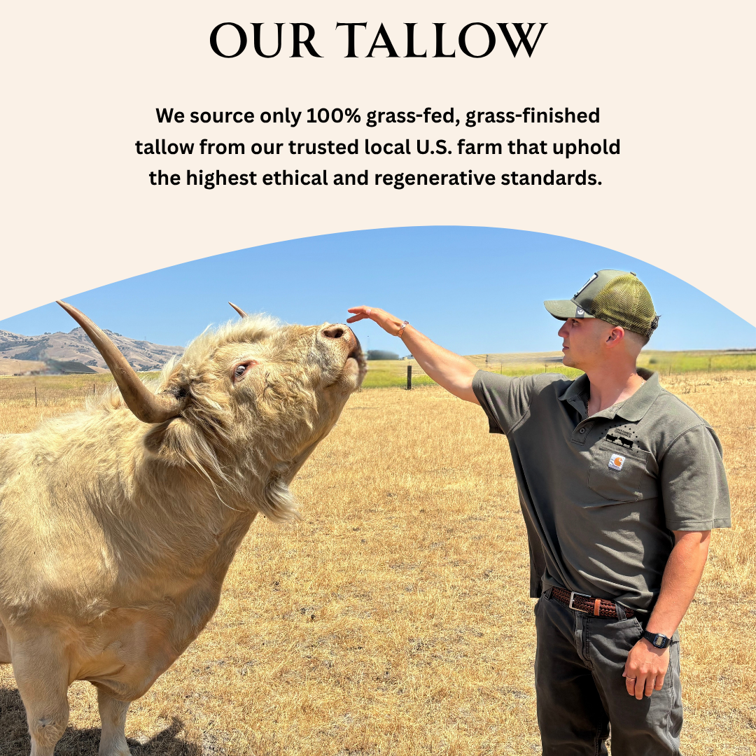 Gras-Fed Tallow Hair Clay Pomade | 2 oz Metal Can