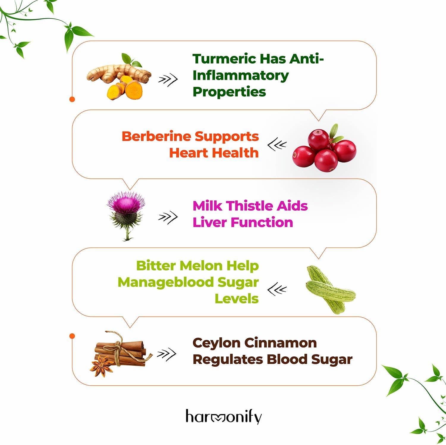HARMONIFY Berberine with Ceylon Cinnamon, Pure Turmeric, Milk Thistle Bitter Melon, 5 in 1 Formula, 120 Purified Veggie Capsule 1000 mg | Gluten Free, Non-GMO