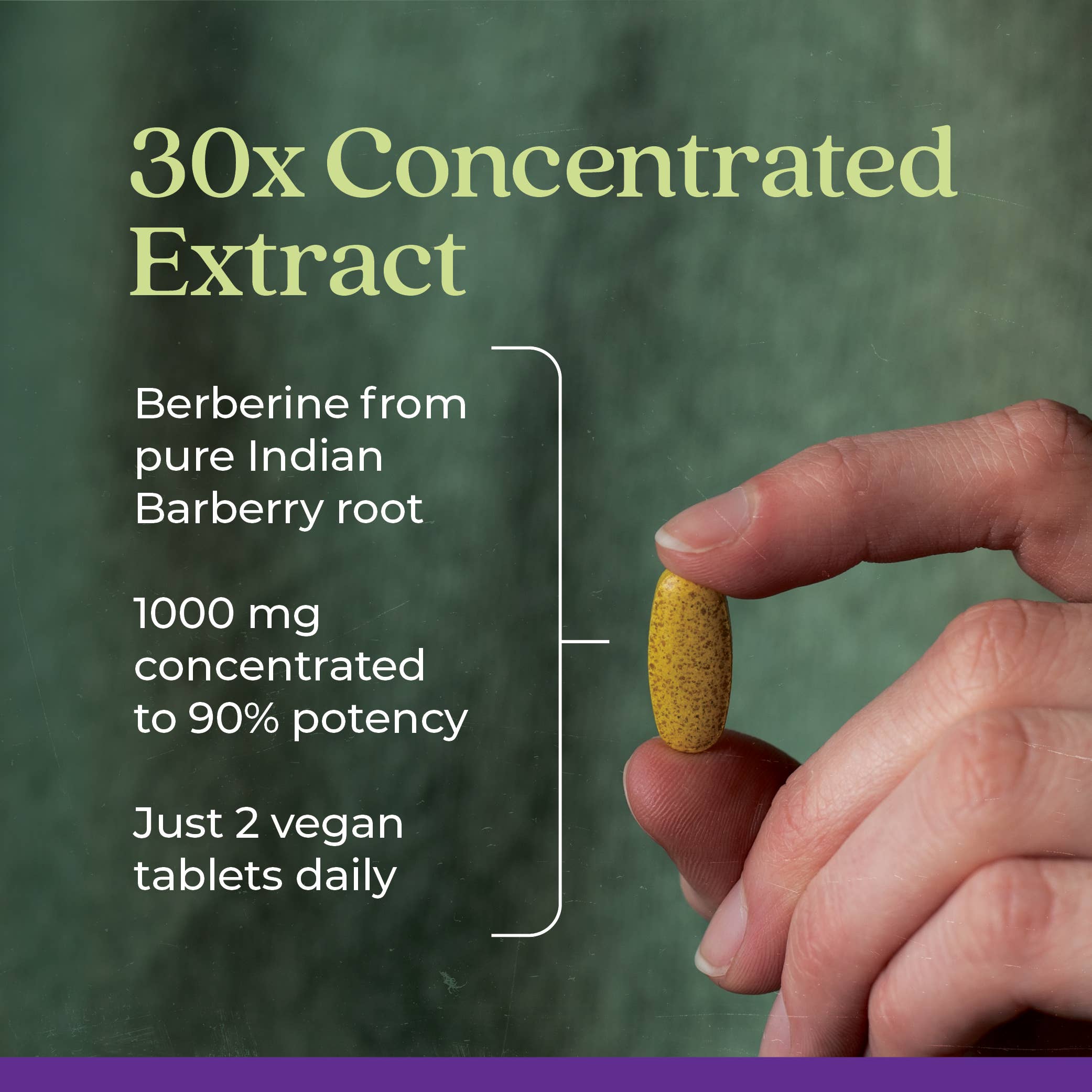 Berberine Supplement, 1000 mg, 60 Tablets