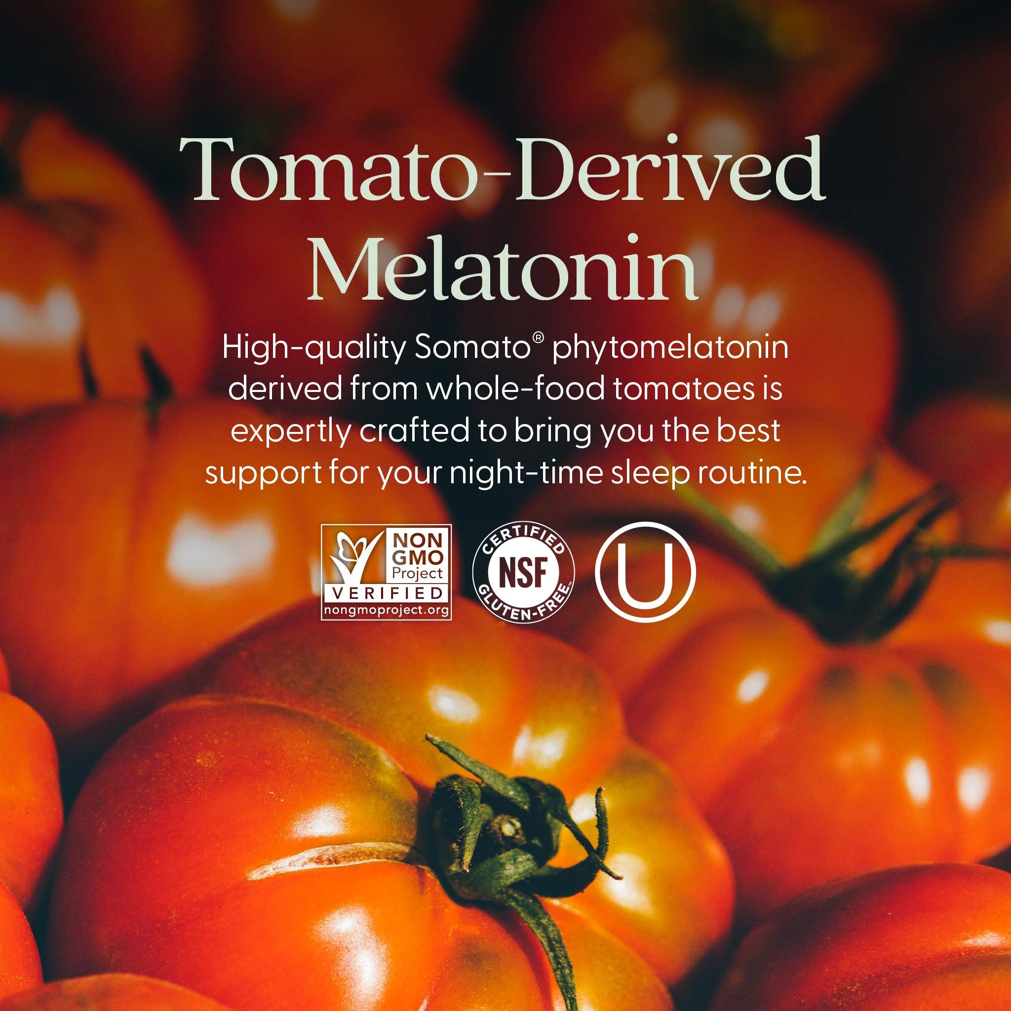 Plant Melatonin + Tart Cherry & Ashwagandha, 30 Vegan Tablet