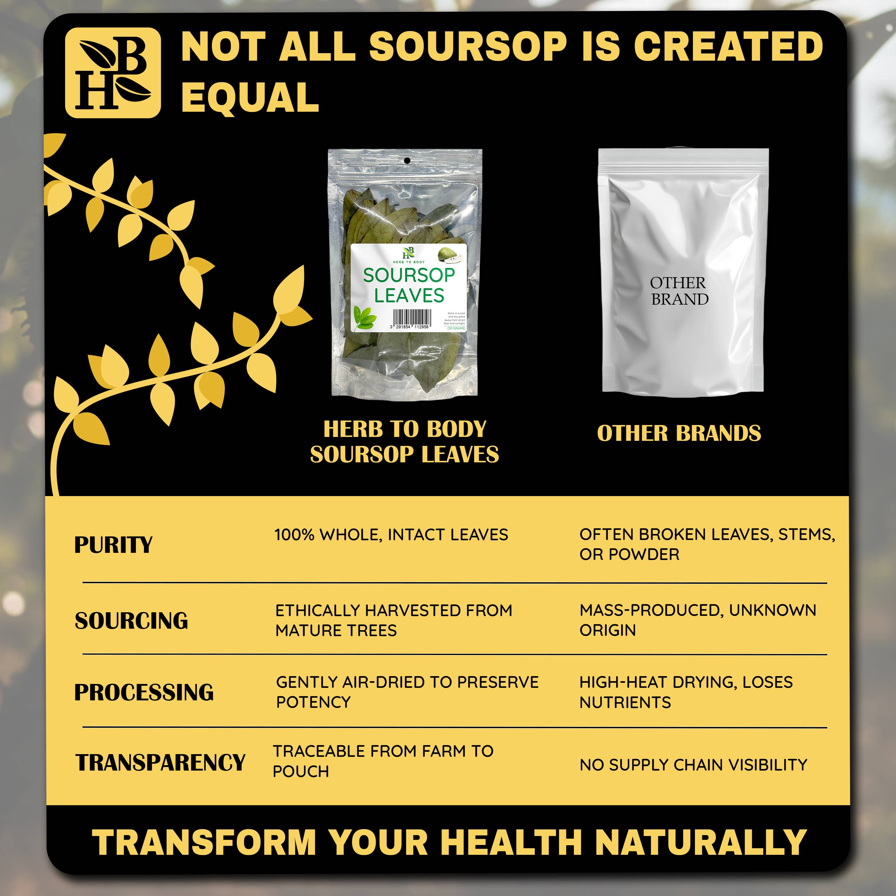 Organic Soursop Leaves 50g - Dried Leaf | Hoja De Guanabana