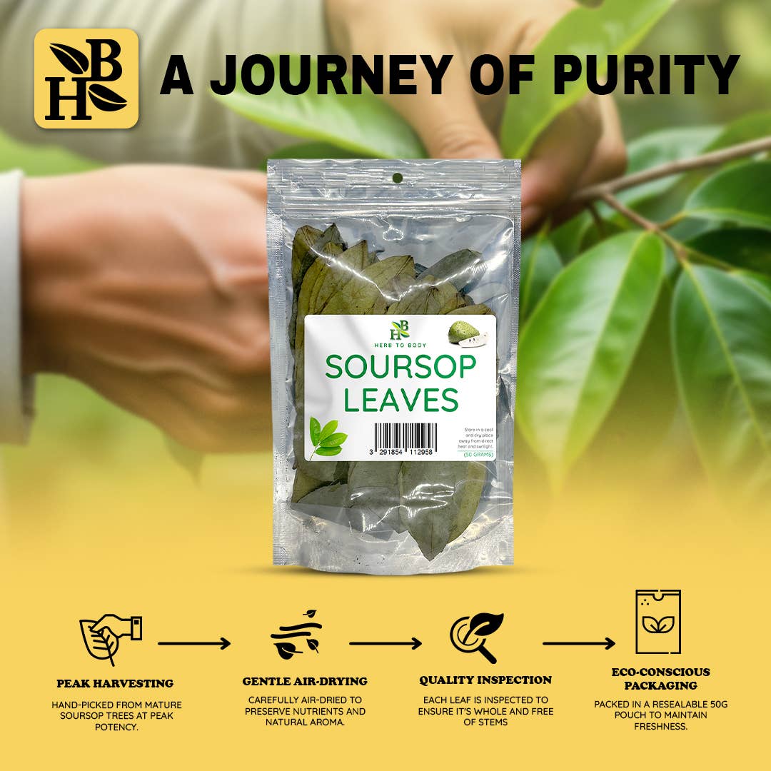 Organic Soursop Leaves 50g - Dried Leaf | Hoja De Guanabana