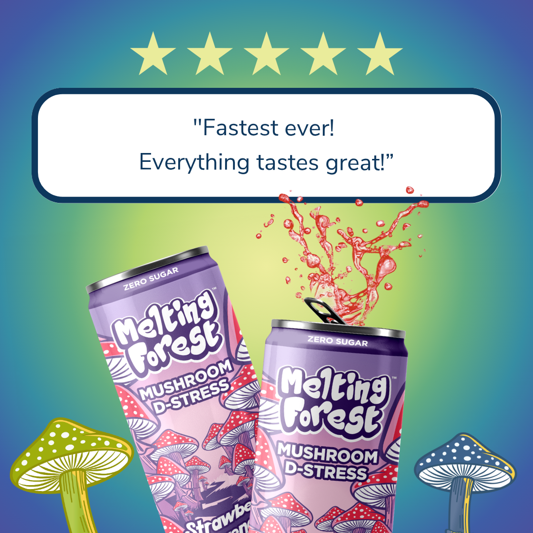 Mushroom Drink | Stress Relief | Variety Pack