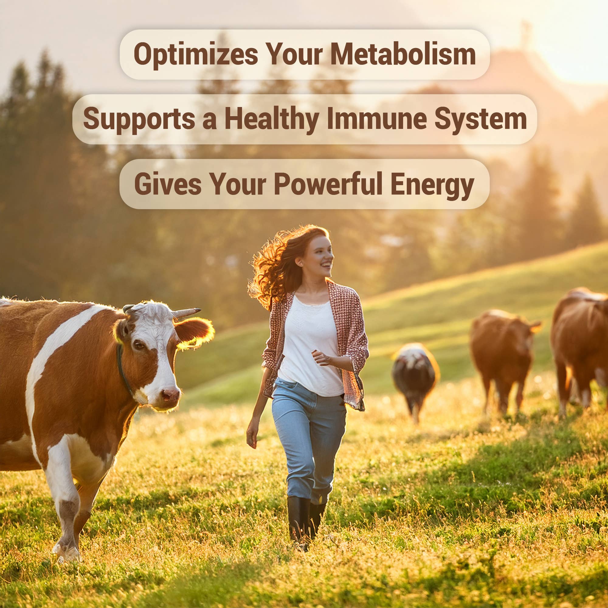 Grass Fed Beef Liver Capsules 3100mg Organ Meat Supplement