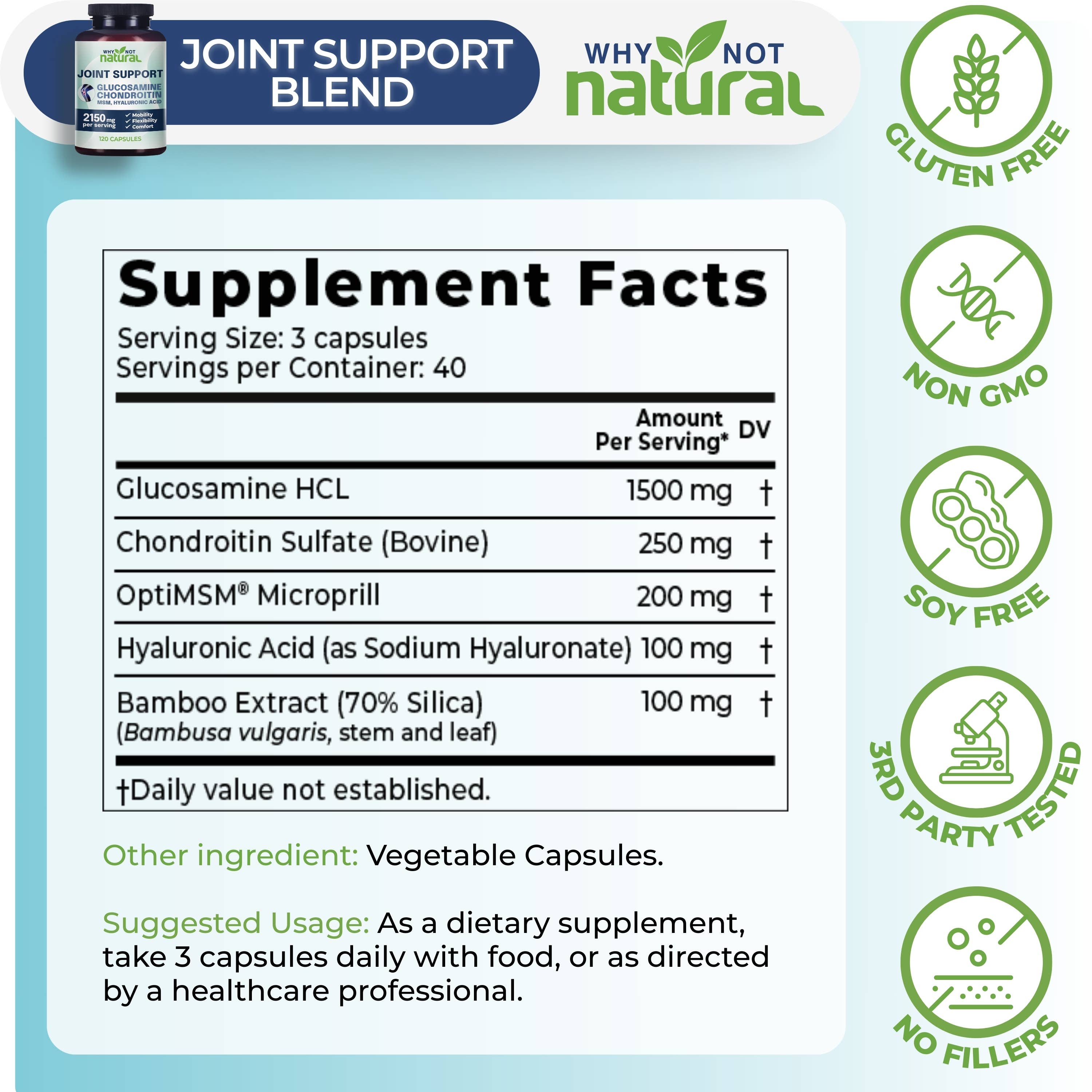 Glucosamine Chondroitin MSM, Joint Support