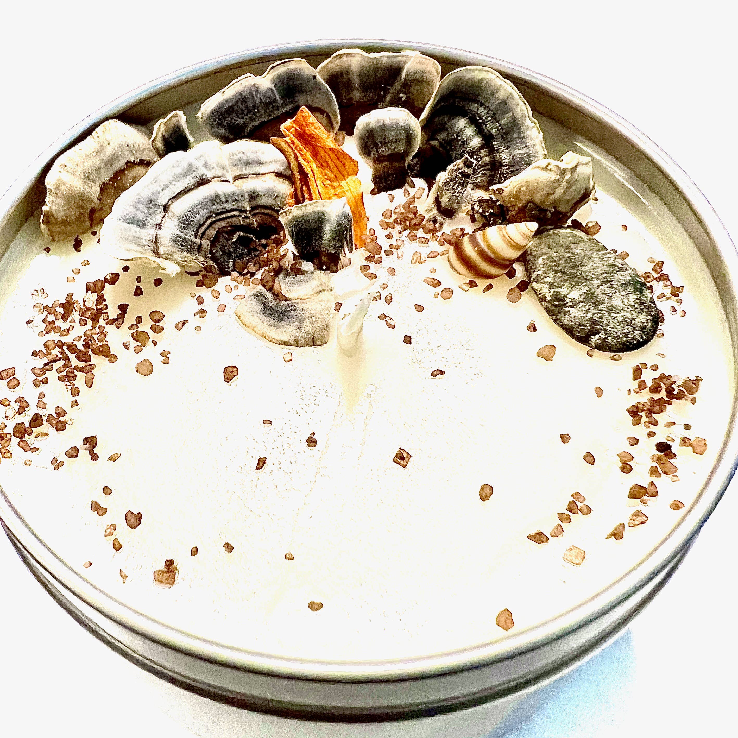"Coral Reef" Artisanal Soy Candle