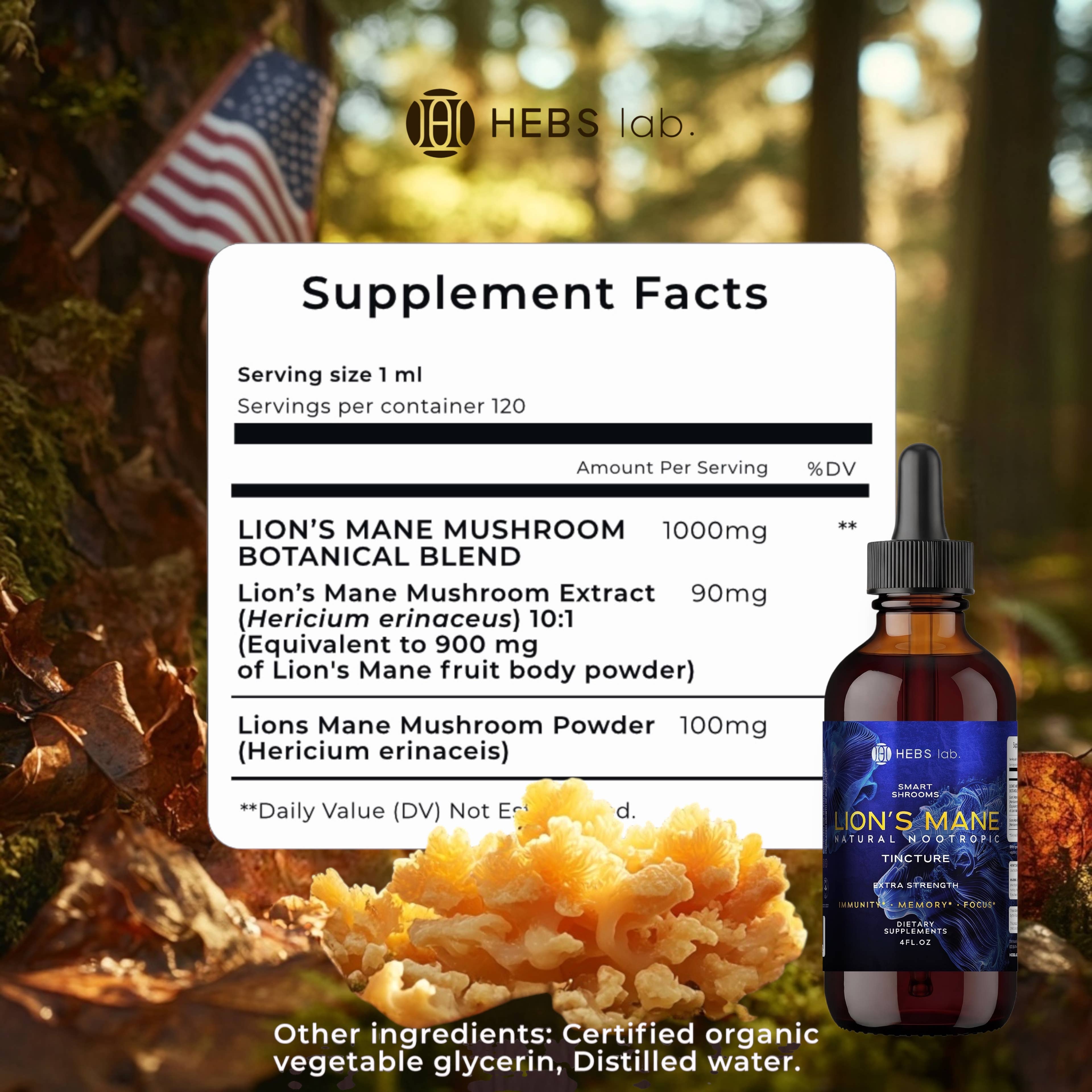 Lion’s Mane Mushroom Tincture – Brain & Focus Support – 4 oz