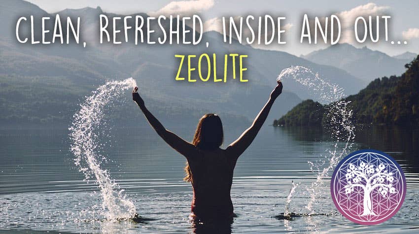 Zeolite Powder - 350g (< 25 Microns) HM Detox Cleanse