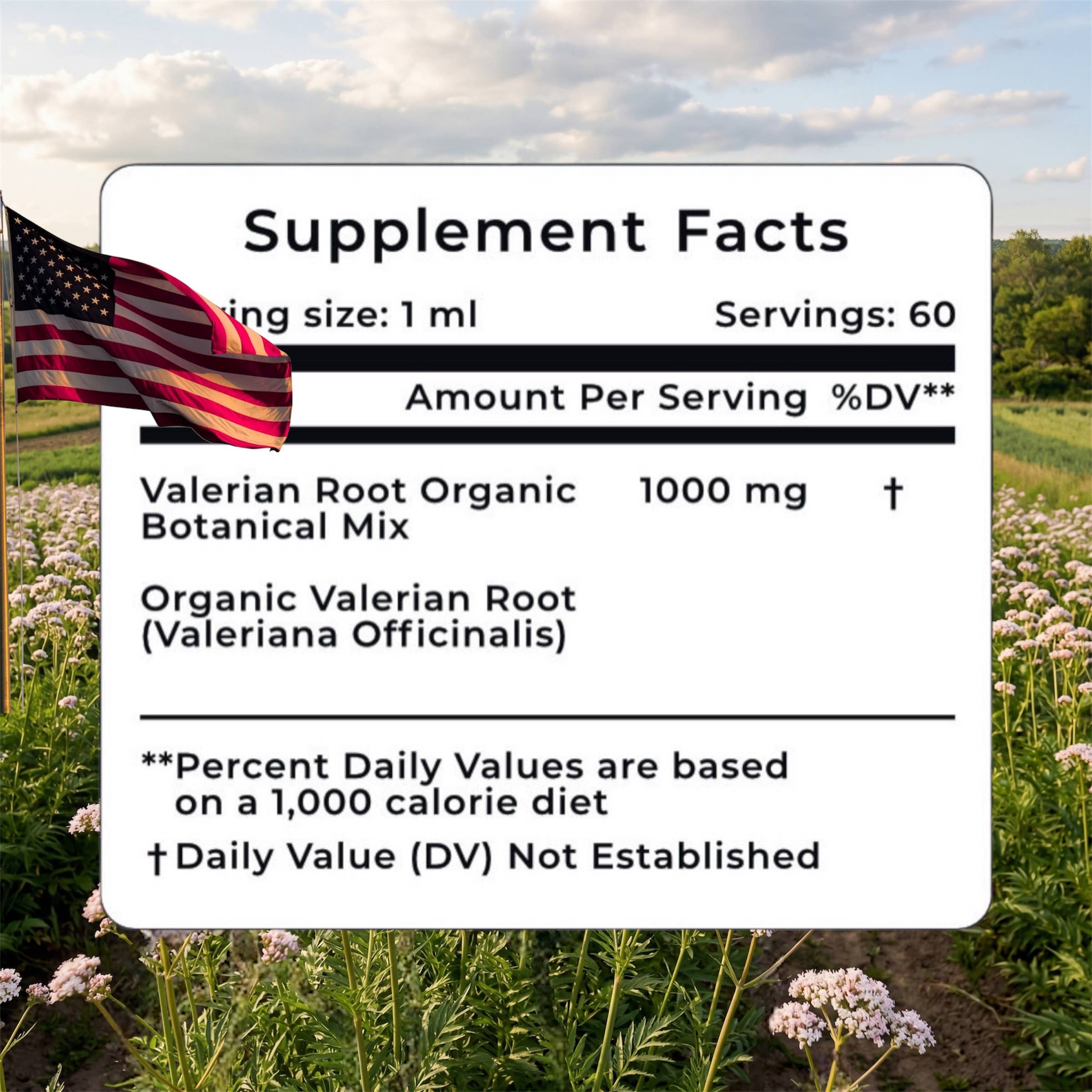 Valerian Root Liquid Extract – Nerve & Sleep Support