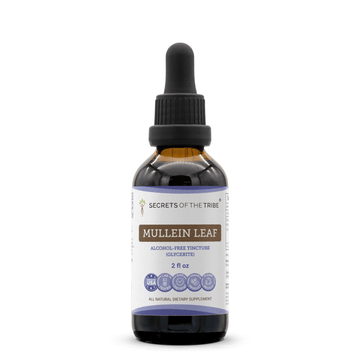 Mullein Leaf Tincture