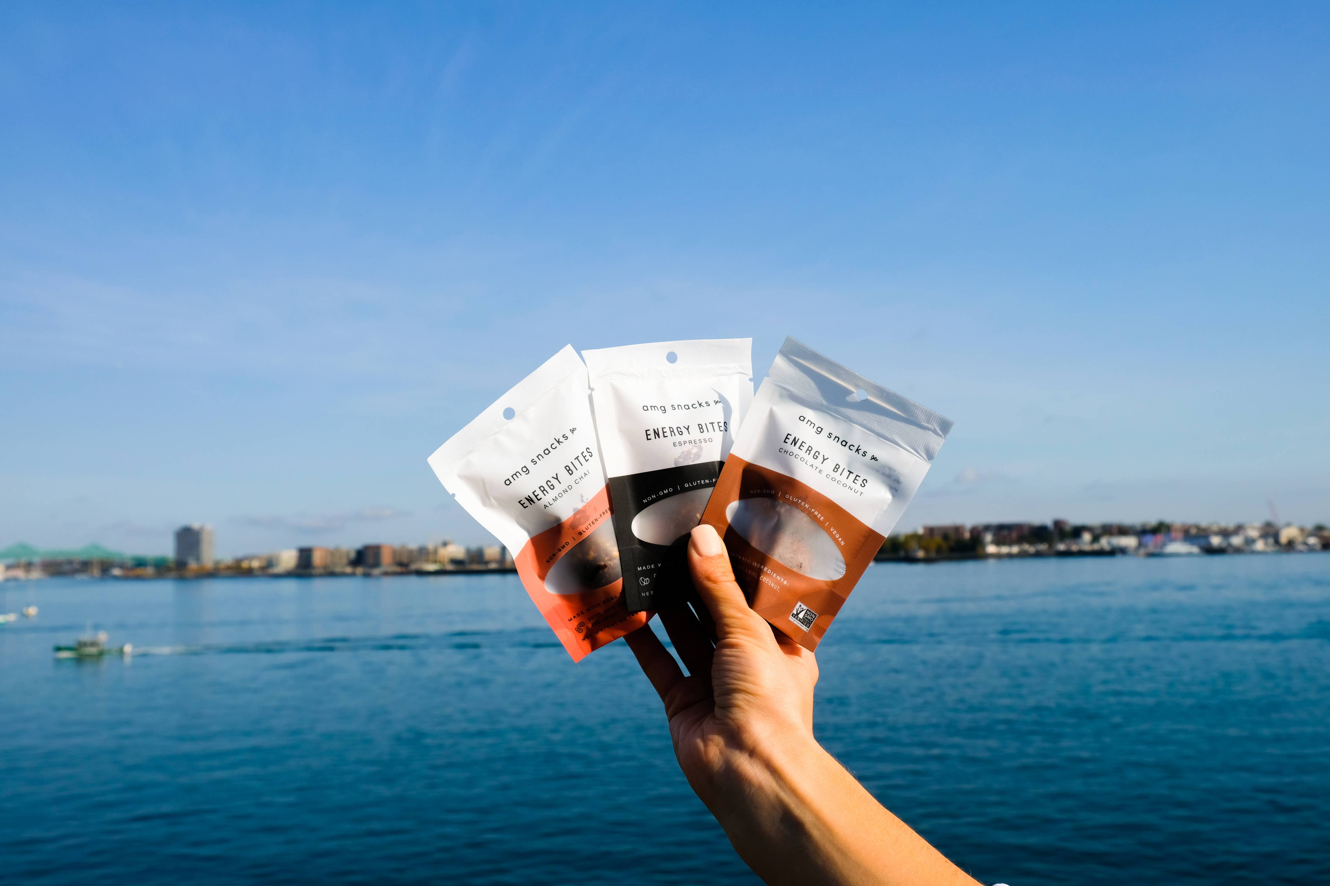 Energy Bites: On-the-go packs