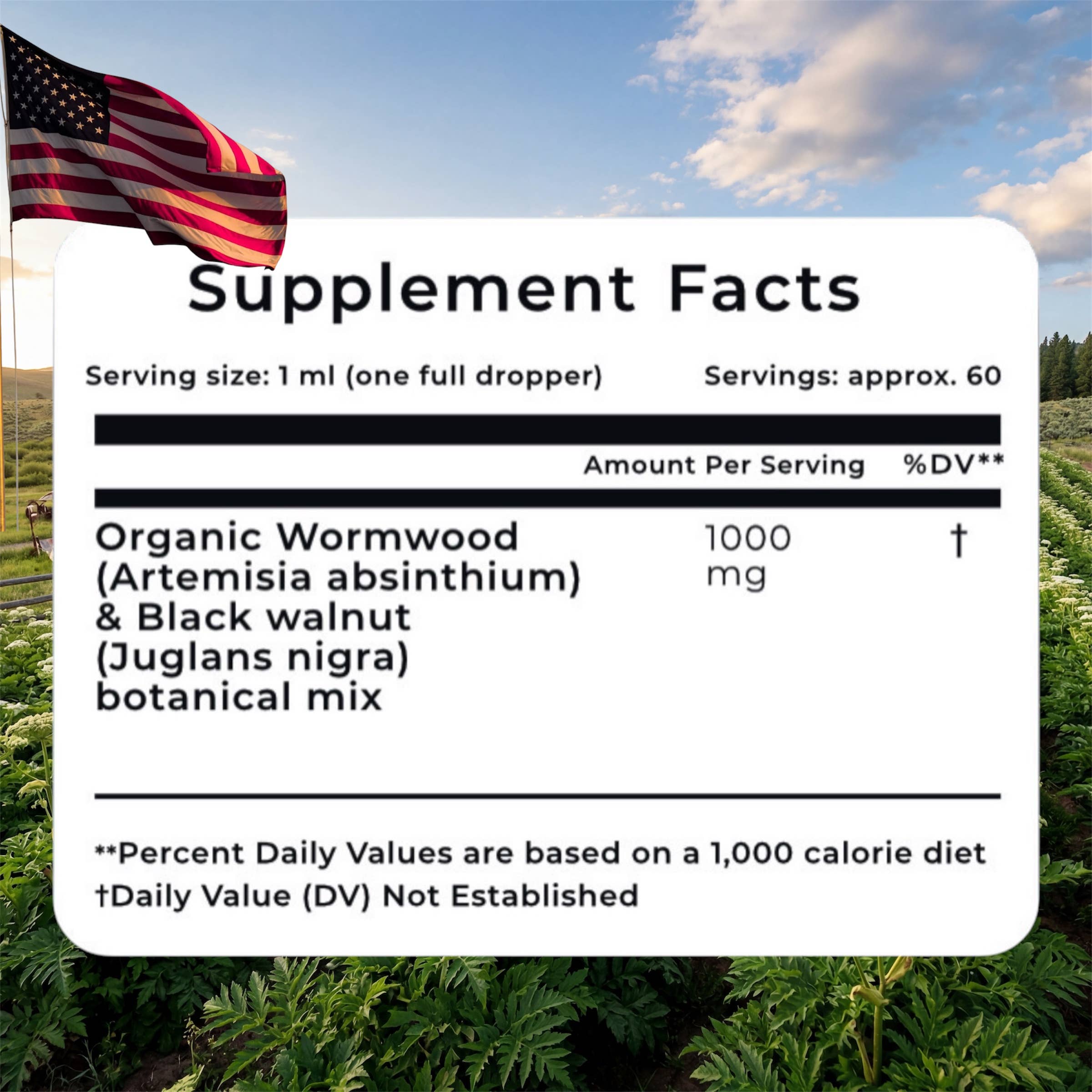 Wormwood & Black Walnut Liquid Extract – Liver Health 