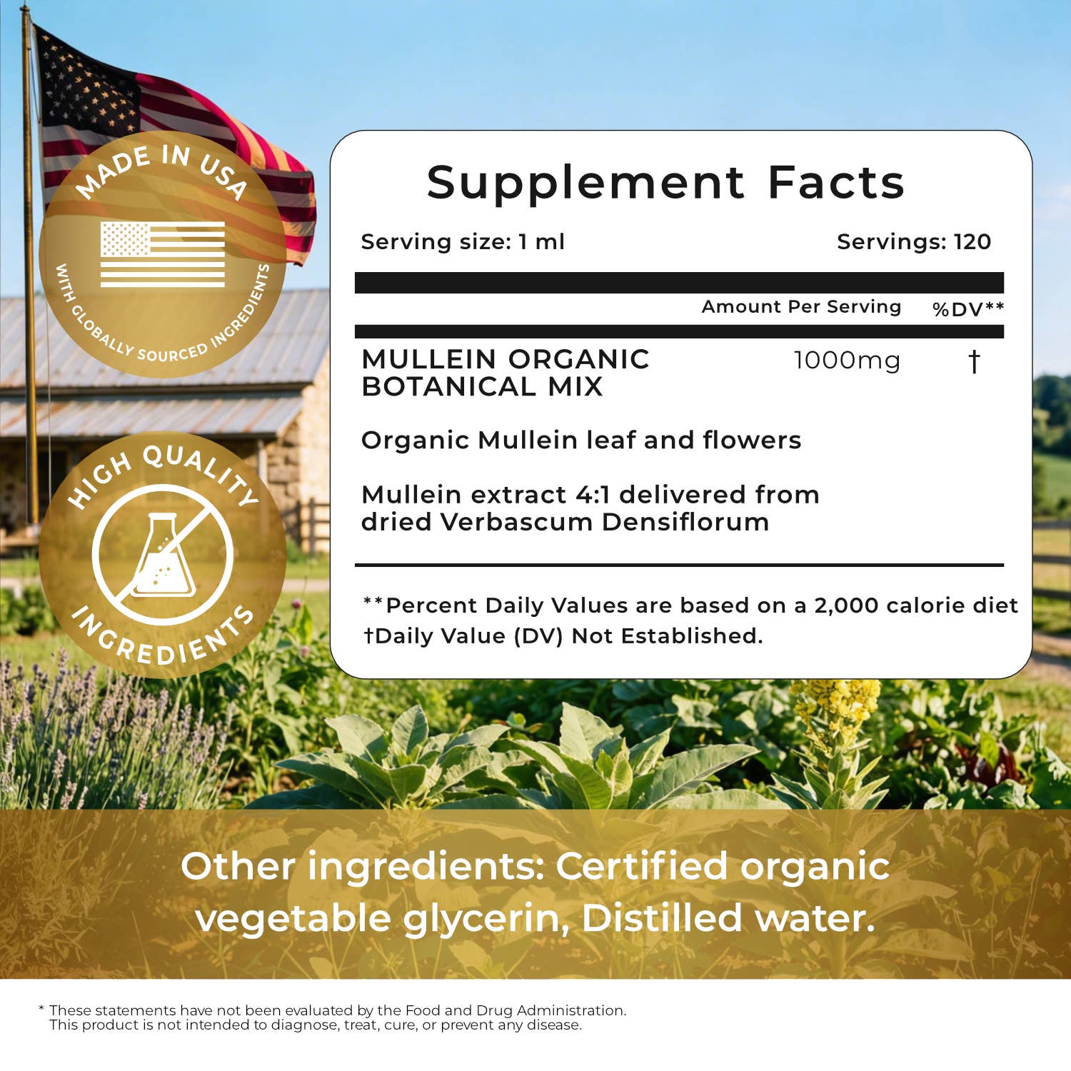 Mullein Leaf Liquid Extract - Lung & Respiratory Support 