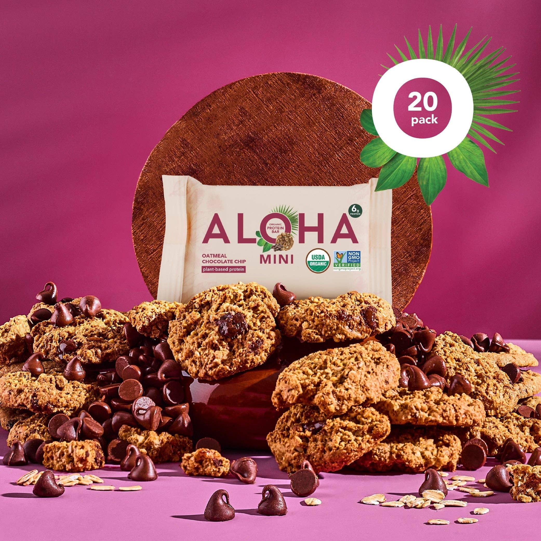 Mini Bars - Oatmeal Chocolate Chip